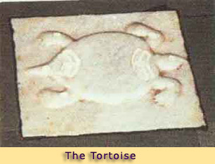 THE TORTOISE